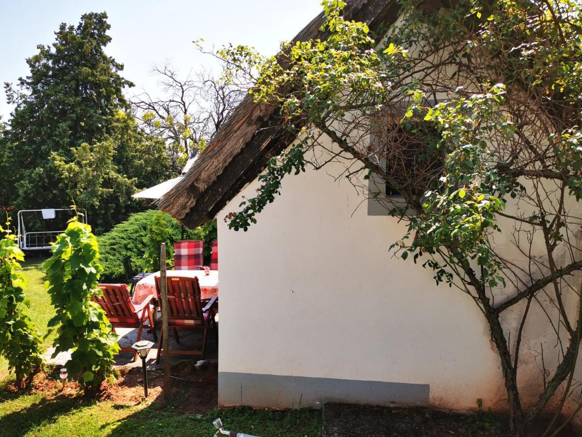 Country House Balaton Paloznak Ngoại thất bức ảnh