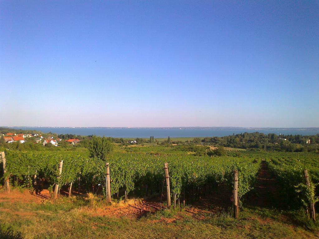 Country House Balaton Paloznak Ngoại thất bức ảnh