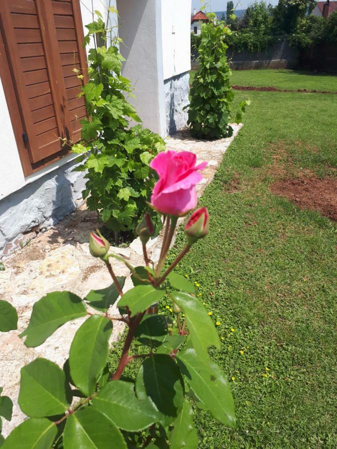 Country House Balaton Paloznak Ngoại thất bức ảnh
