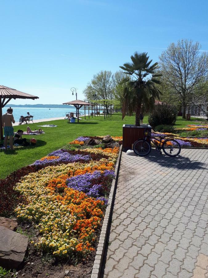 Country House Balaton Paloznak Ngoại thất bức ảnh